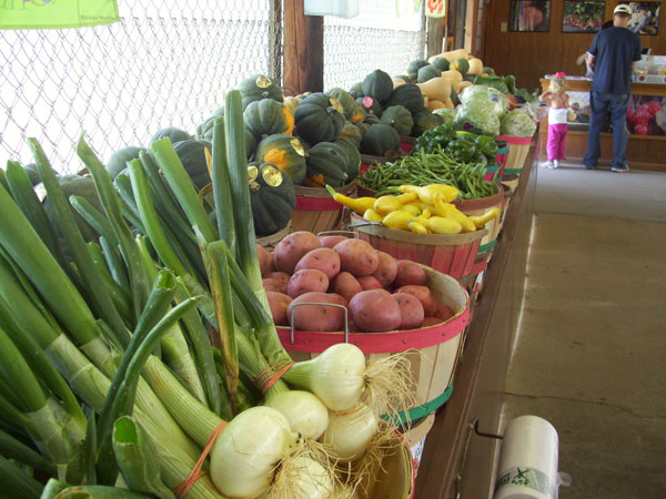 Produce-Marksmelonpatch