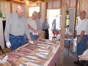 Fish-friers