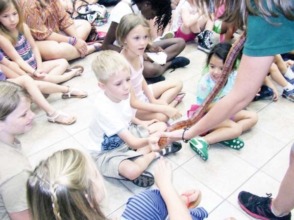 CHILDREN ARE IN AWE as they get up close and personal with the rear end of a corn snake.CHILDREN ARE IN AWE as they get up close and personal with the rear end of a corn snake.