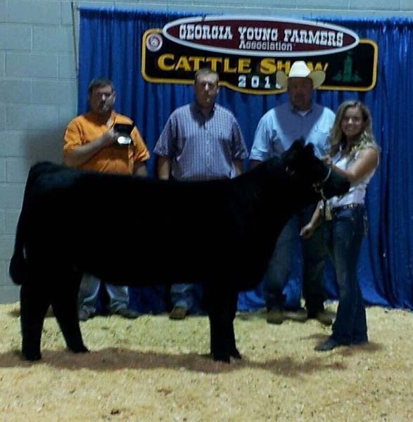 Hannah Bius with her Reserve Champion Crossbred Heifer and won Reserve Supreme over all