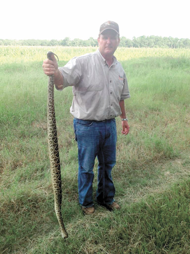 Woodie Warr caught this rattlesnake, which measured five feet, five inches, on family property near Brinson. The snake had 14 rattlers and one button.