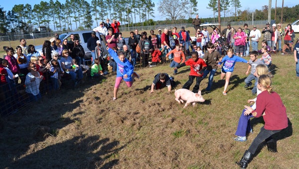 Above, children chase a greased pig for a prize at Swine Time. -- Ashley Johnson