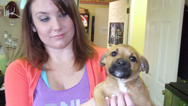 One lucky pup, Annie, held by shelter worker Ashley White, will be leaving to find a new home on Saturday. The Pilots and Paws program is a special dog rescue service that takes dogs from shelters and transports them via plane.