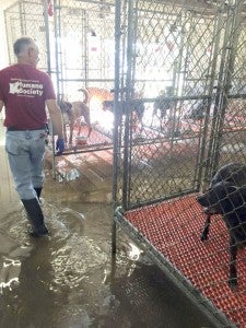 A leak at the Bainbridge-Decatur Humane Society leads to sever flooding after storms.