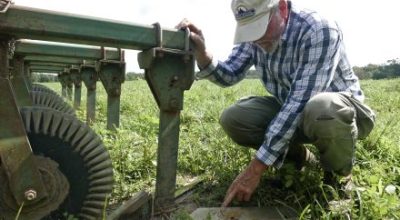 organic peanut farmer